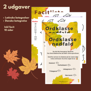 Ordklasse nedfald – farveopgave til repetition af ordklasser
