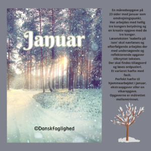 Januar månedsopgave – varieret danskhæfte til mellemtrinnet (23 sider)