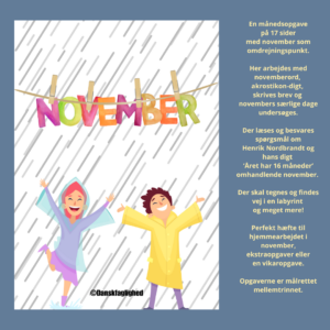Månedsopgave - November