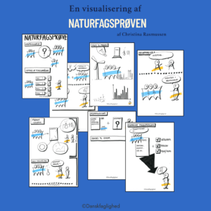 Visualisering af naturfagsprøven
