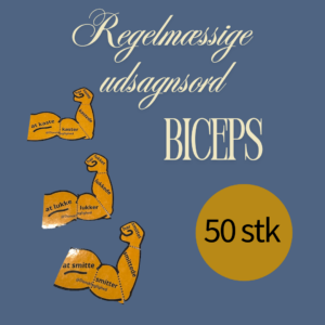 Bøjning af regelmæssige udsagnsord - biceps